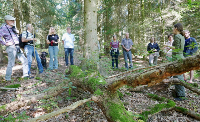 Deisterwanderung mit Farina Graßmann