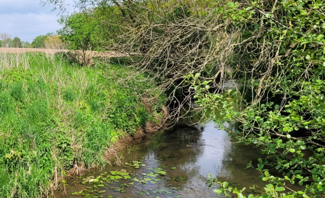 Südaue zwischen Groß Munzel und Landringhausen