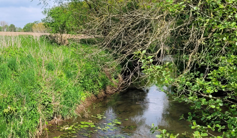 Südaue zwischen Groß Munzel und Landringhausen