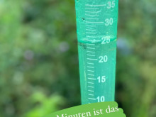 Niederschlagsmessung Bantorf am 5.8.21 in Bantorf