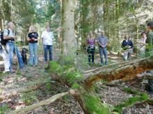 Deisterwanderung mit Farina Graßmann