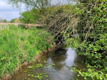 Südaue zwischen Groß Munzel und Landringhausen